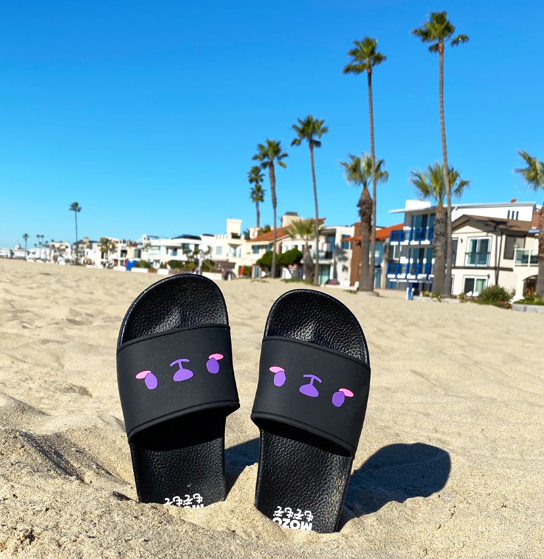 Mokutan-kuma slides  •ᴥ•