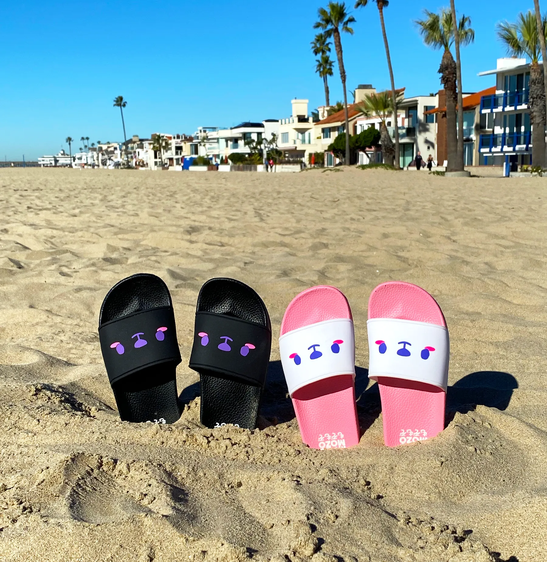 Mokutan-kuma slides  •ᴥ•