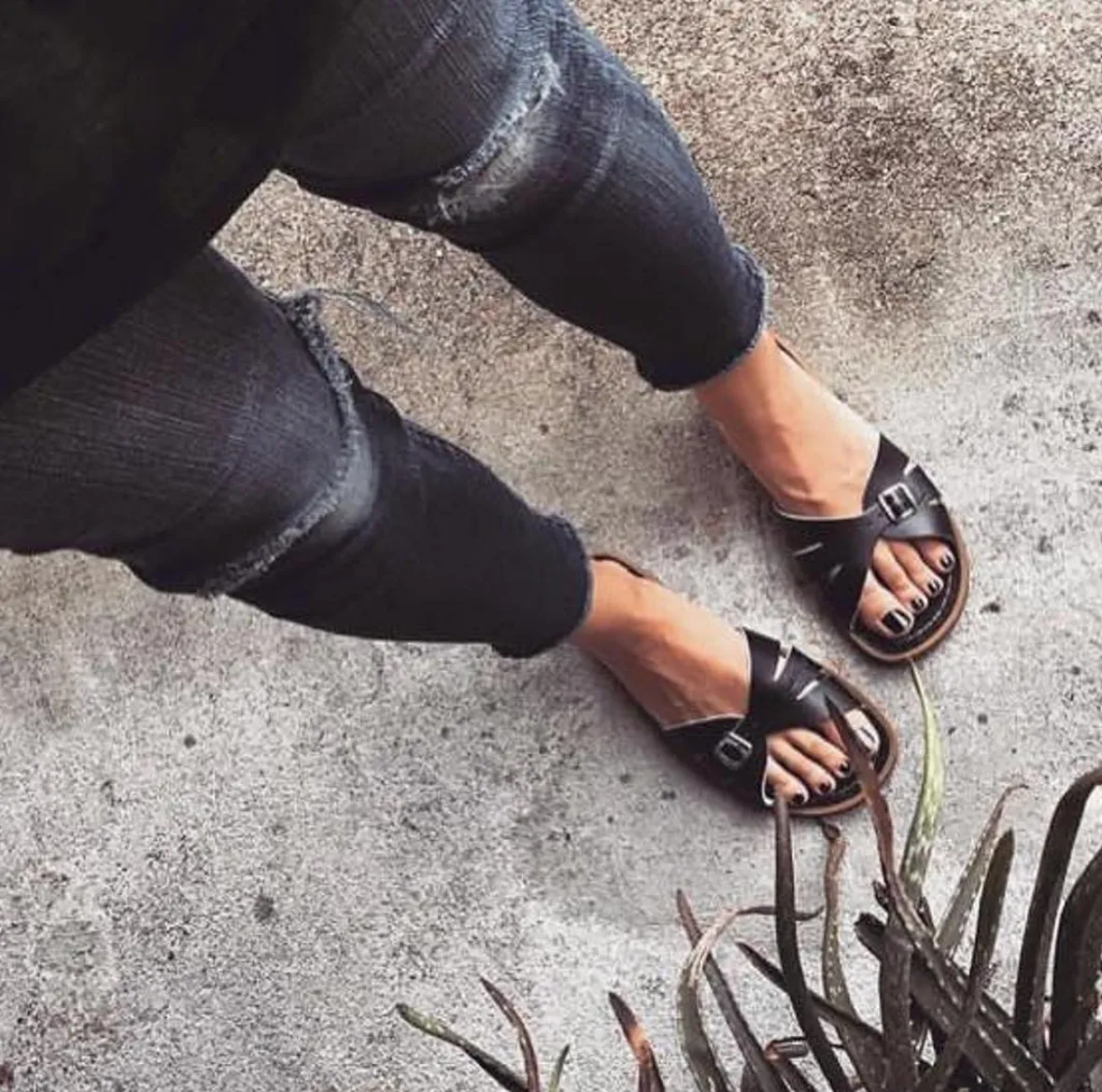 Slides (black ,adult)